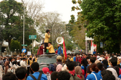 BF-LIMA